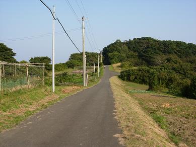 男はつらいよに出てきそうな道