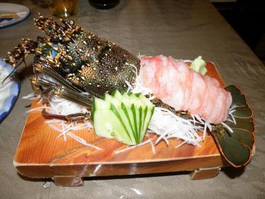 シマイセエビ・01