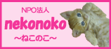 nekonokoバナー