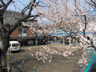 桜の園舎●1.jpg