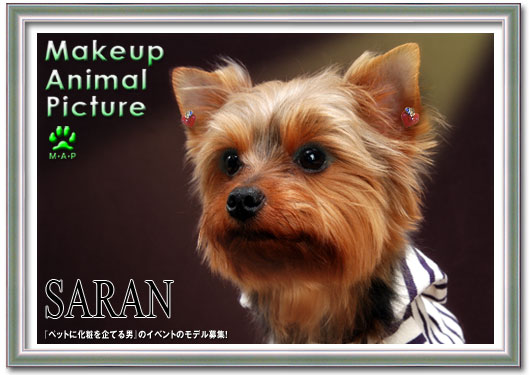 saran_makeup