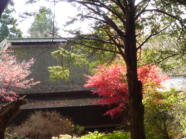 大臼山神社祈り 033.jpg