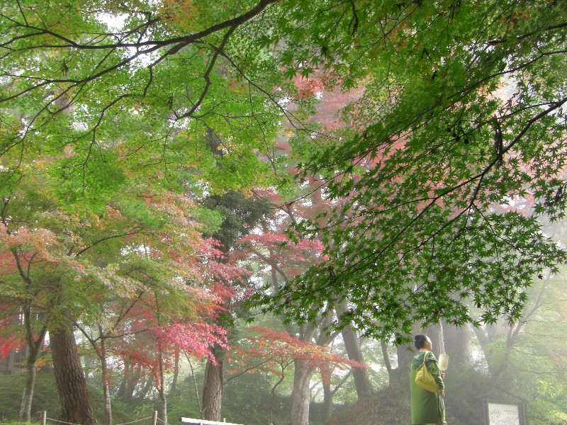 中尊寺・毛越寺 017.jpg