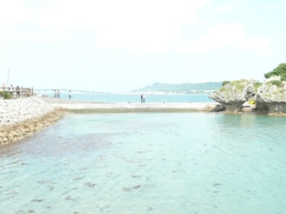 P1010486.JPG