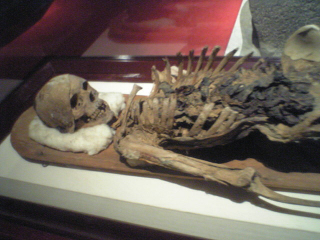 考古学博物館_4