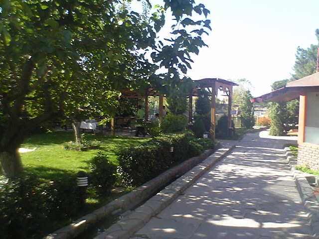 トルコの食堂２