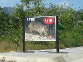 西表島_山猫注意アップ_s.JPG