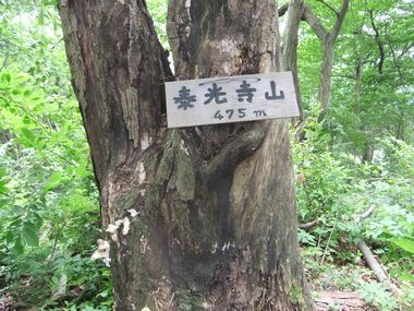 22.05.26takao100ｋ 021.jpg