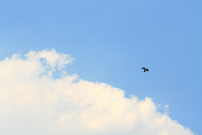 swimming-in-the-sky.jpg