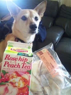 こはるさんもおやつ