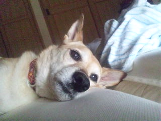 ふとみるとそこにいるドアップ。