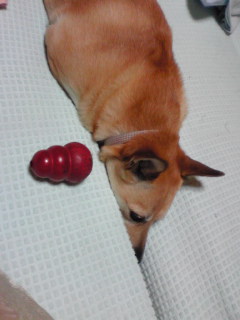 何でワザワザ・・