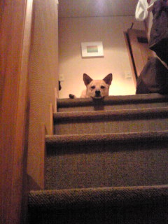 顔が潰れている。。。