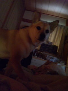 ふとんに入れてよ。