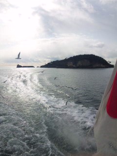 かもめがみゃぁ