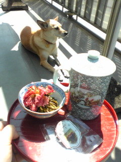 ジャスミンティー