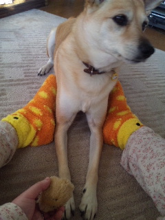 カメラ目線は嫌なの。