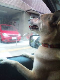 はやくっ、家にっ