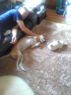 朝日を浴びて・・・・・