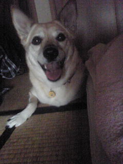 散歩は行くさっ♪