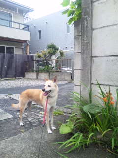 お腹すいたし・・