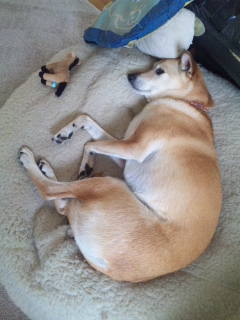 悲鳴は聞きたくない。