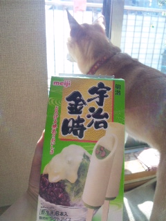 何十箱食べただろう