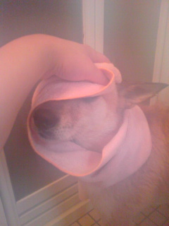 固まっている・・