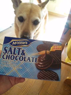 ビターでうまし