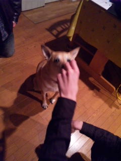 いななく。。。