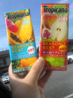 今年のお気に入り