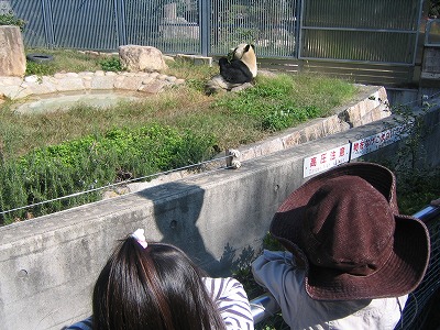 王子動物園　パンダ