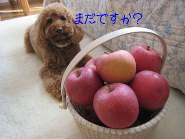 待て！