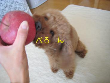 ください♪
