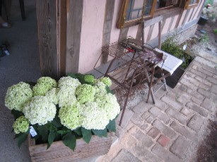 09061111.IMG_6539.JPG