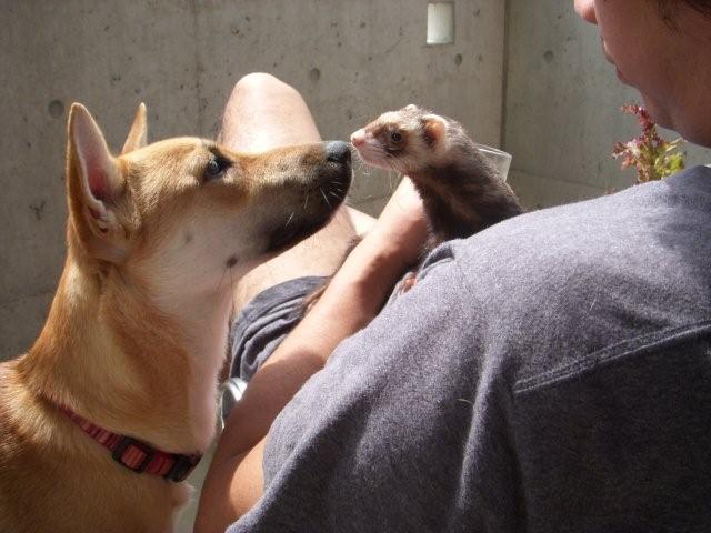 電子メールで送信: DSCN1217_0523