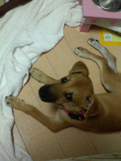 2007-11-15 15:41:20
