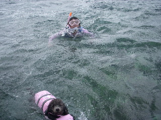 4 枚の iPhoto イメージ