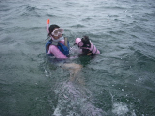 4 枚の iPhoto イメージ