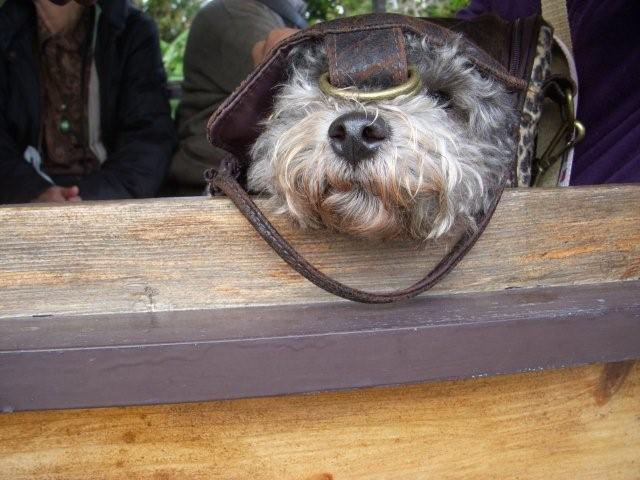 電子メールで送信: DSCN1777_0765