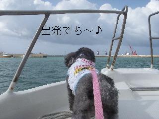 4 枚の iPhoto イメージ