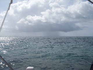 4 枚の iPhoto イメージ