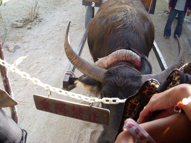 電子メールで送信: DSCN1768_0758