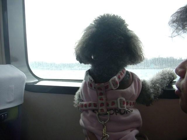 電子メールで送信: DSCN1787_0770