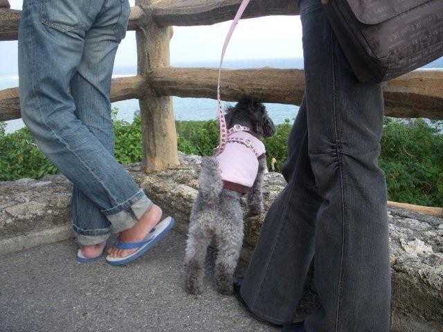 電子メールで送信: DSCN1796_0773