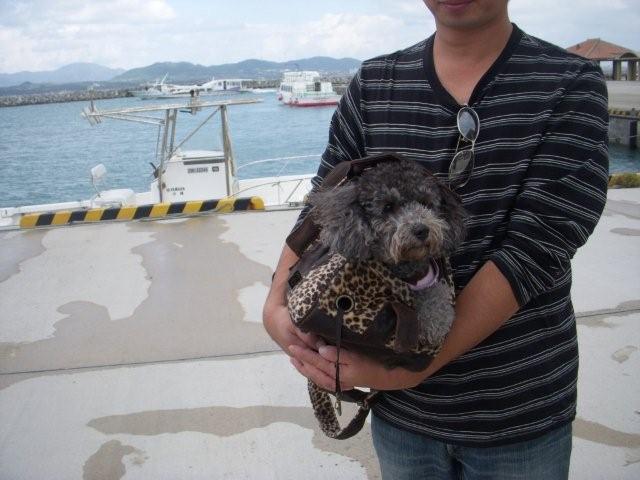 電子メールで送信: DSCN1785_0768