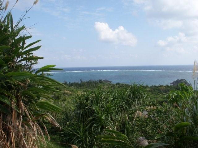 電子メールで送信: DSCN1790_0772