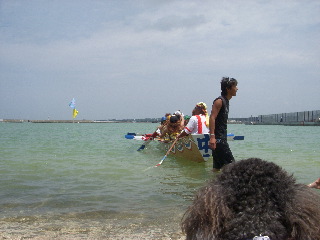 4 枚の iPhoto イメージ