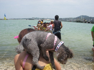 4 枚の iPhoto イメージ