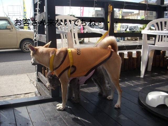 電子メールで送信: DSCN1811_0614, DSCN1808_0611, DSCN1809_0612, DSCN1810_06 13